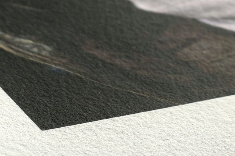 Canberra-Printer-Fine-Art-Paper-Hahnemuehle-Agave-768x512