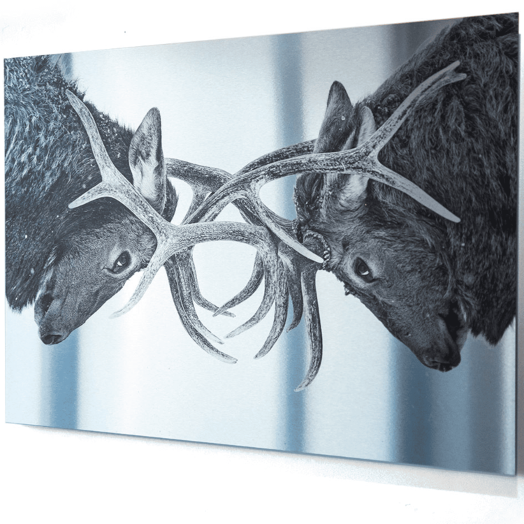Metal printing